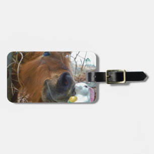 Easter Bunny and Brown horse Luggage Tag
