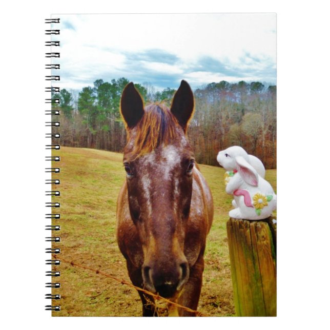 Easter Bunny and Brown horse Notebook (Front)
