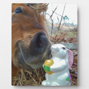 Easter Bunny and Brown horse Plaque