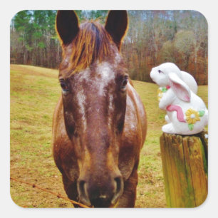 Easter Bunny and Brown horse Square Sticker