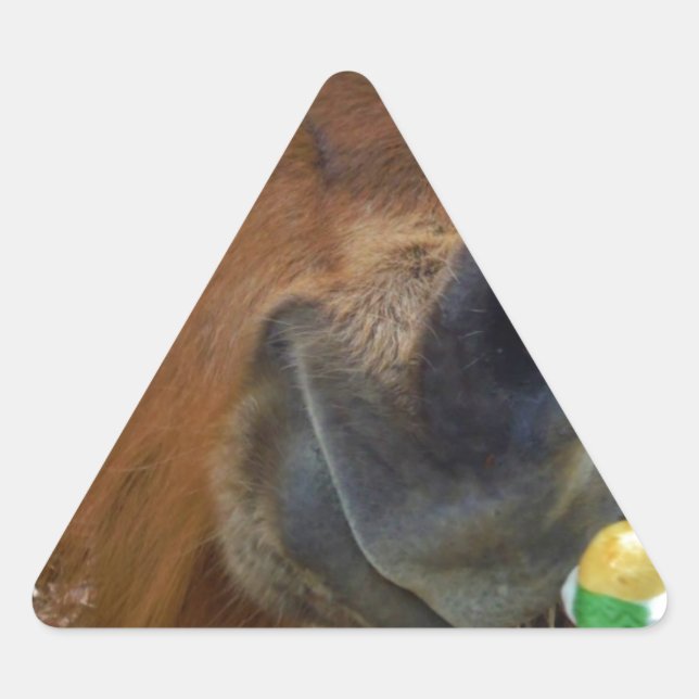 Easter Bunny and Brown horse Triangle Sticker (Front)