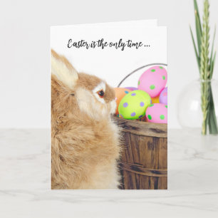 Easter Bunny and Eggs Humour Holiday Card