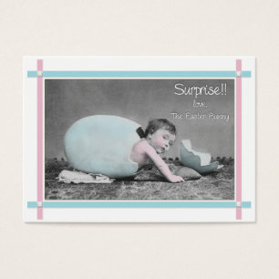 Easter Bunny Baby on the way announcement