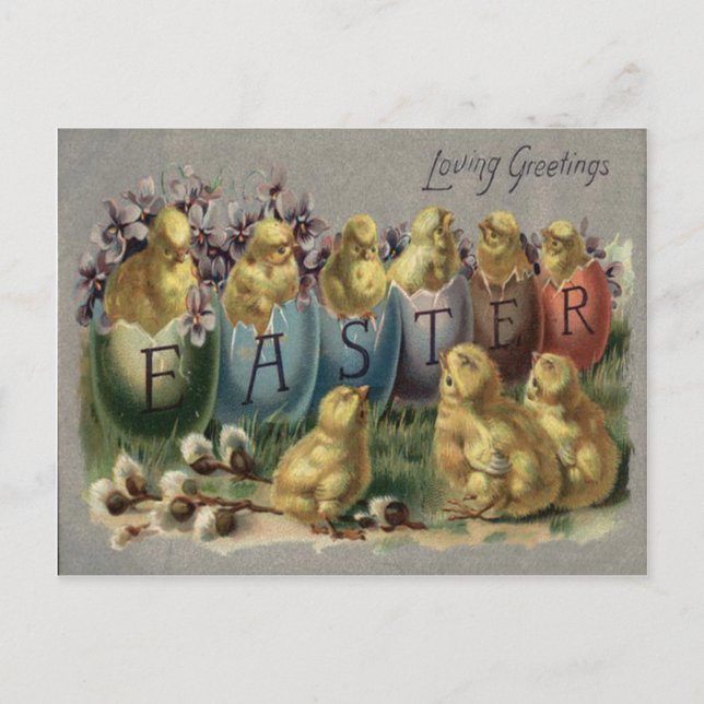 Easter Bunny Basket Coloured Egg Sun Flower Field Holiday Postcard (Front)