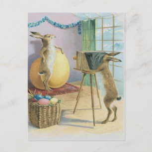 Easter Bunny Camera Photography Easter Coloured Eg Holiday Postcard