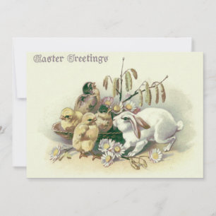 Easter Bunny Chick Daisy Invitation