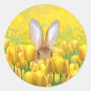 Easter Bunny Classic Round Sticker