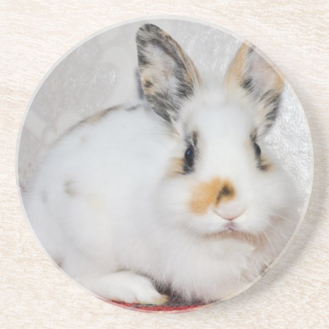 Easter Bunny Coaster (Front)