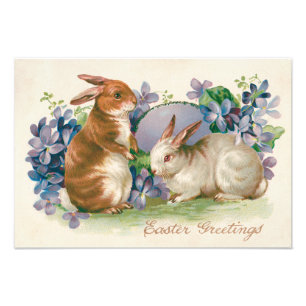 Easter Bunny Coloured Egg Forget-Me-Not Photo Print
