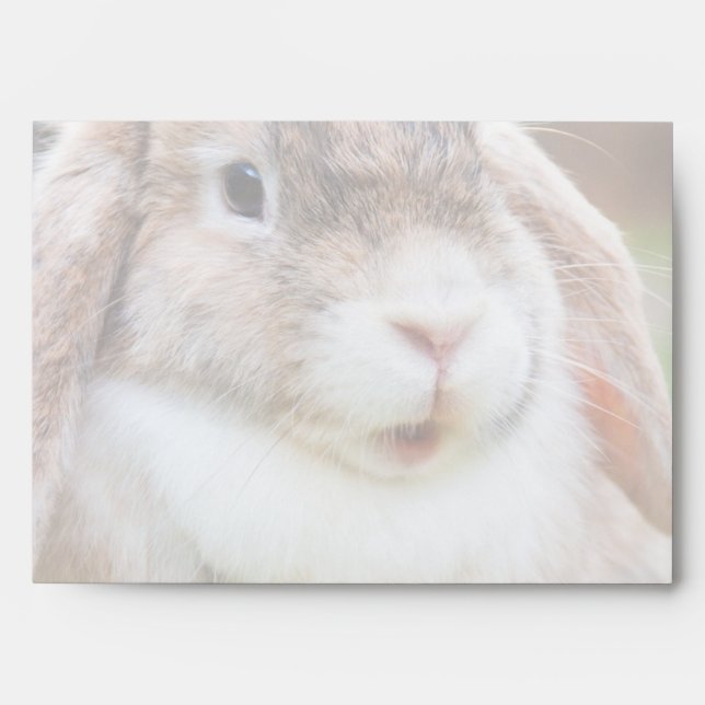 Easter Bunny Envelope (Front)