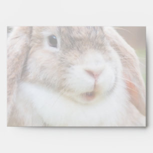 Easter Bunny Envelope