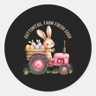 Easter Bunny Farmhouse Aesthetic Cottagecore Sprin Classic Round Sticker