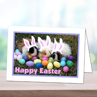 Easter Bunny Guinea Pig Card