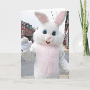 Easter Bunny Holiday Card
