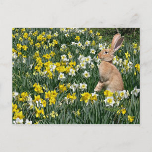 Easter bunny holiday postcard
