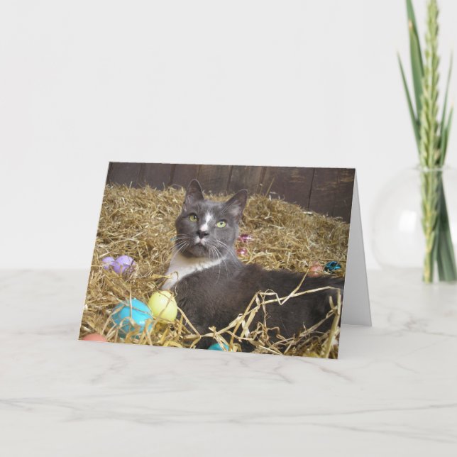 Easter Bunny in Disguise Card (Front)