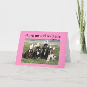 EASTER BUNNY IS ON A RAGE ABOUT EARS!!! HOLIDAY CARD