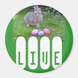 EASTER BUNNY MAGNET