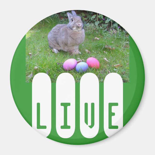 EASTER BUNNY MAGNET (Front)