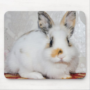 Easter Bunny Mouse Pad