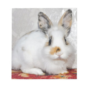Easter Bunny Notepad