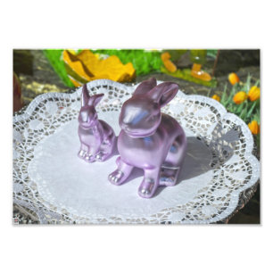 Easter Bunny Photo Print