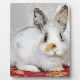 Easter Bunny Plaque