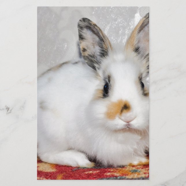 Easter Bunny Stationery (Front)