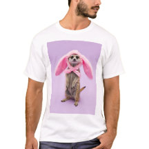 Easter Bunny