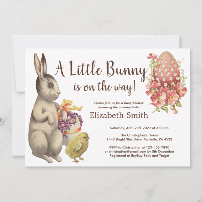 Easter Bunny Vintage Rabbit & Chicken Baby Shower Invitation (Front)