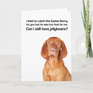 Easter Bunny Was Too Fast (Vizsla) - Greeting Card