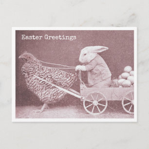 Easter Bunny with Chicken and Eggs Postcard