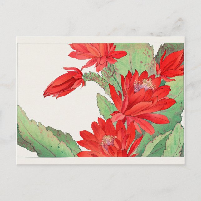 Easter cactus by Tanigami Konan Postcard (Front)