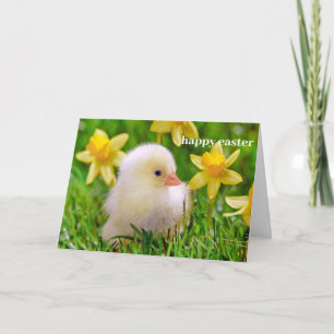 Easter Card - Duckling in a Field of Daffodils