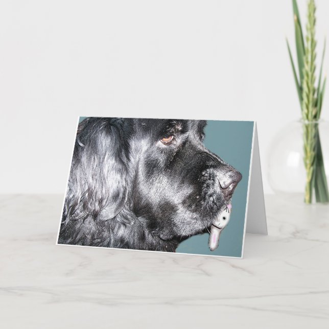 Easter Card,Newfoundland Dog Holiday Card (Front)
