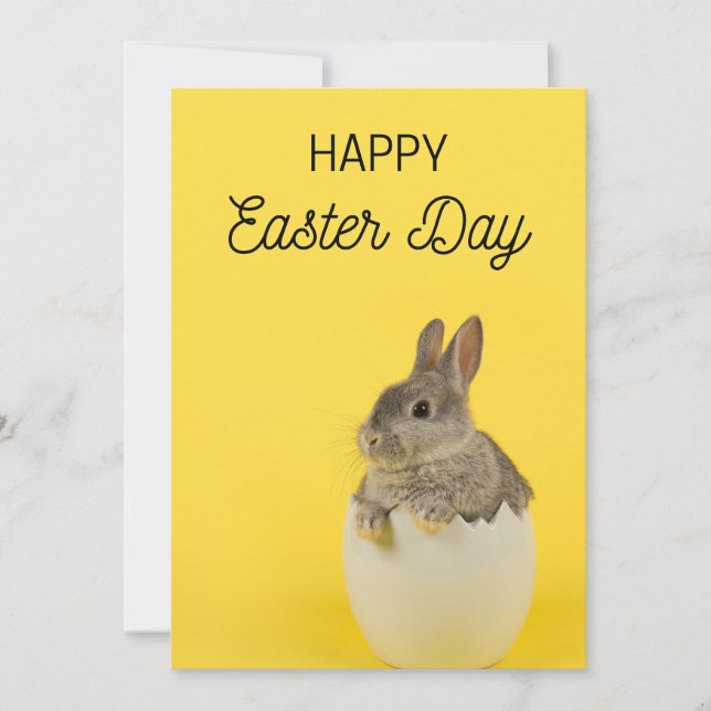 Easter Card pack - Easter Rabbit and Chick (Front)