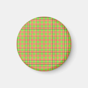 Easter Carrot Colours Plaid Pattern Magnet