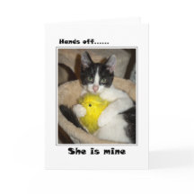 Easter Cat and chick