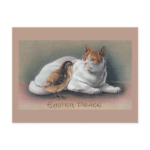 Easter Cat and Chick