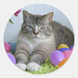 Easter Cat Classic Round Sticker