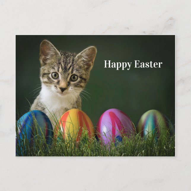Easter cat holiday postcard (Front)