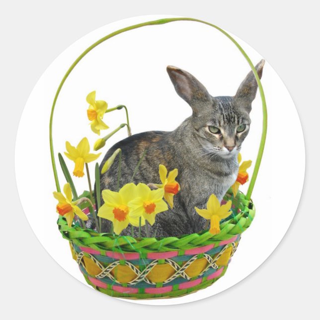 Easter Cat in Daffodils Sticker (Front)