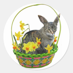 Easter Cat in Daffodils Sticker