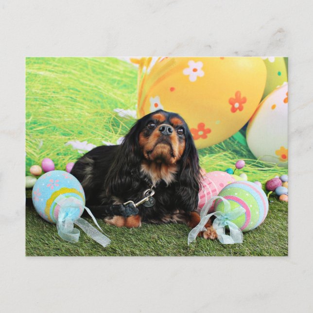 Easter - Cavalier King Charles Spaniel - Charlie Holiday Postcard (Front)
