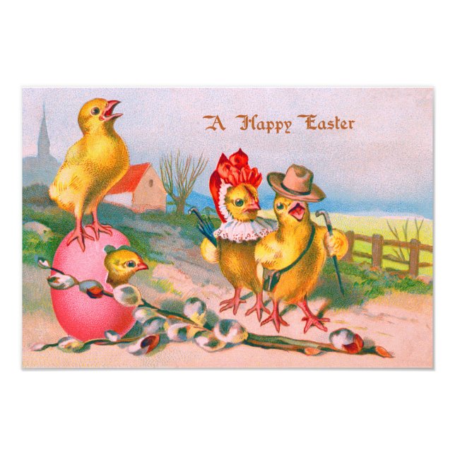 Easter Chick Coloured Egg Cotton Photo Print (Front)