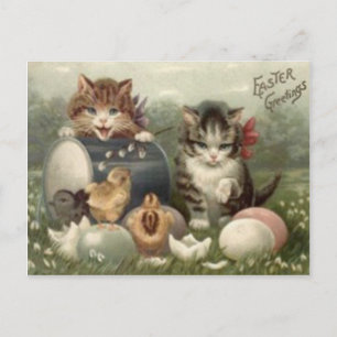 Easter Chick Coloured Egg Kitten Cat Holiday Postcard