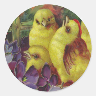 Easter Chick Greetings Classic Round Sticker