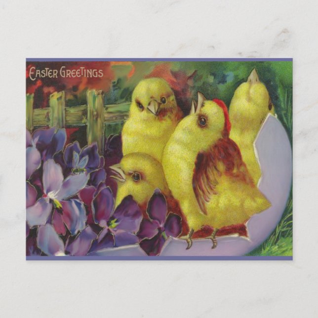 Easter Chick Greetings Holiday Postcard (Front)