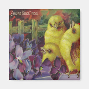 Easter Chick Greetings Magnet