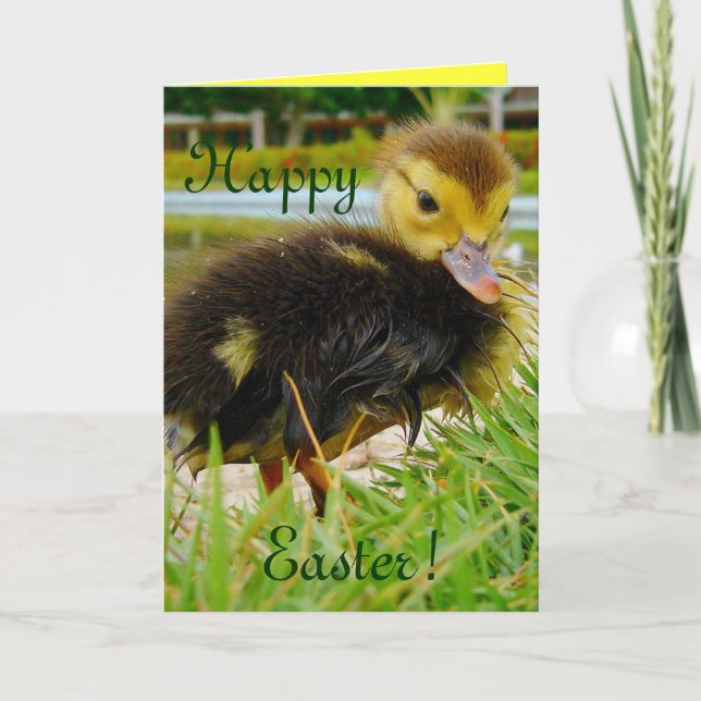 Easter Chick II Holiday Card (Front)